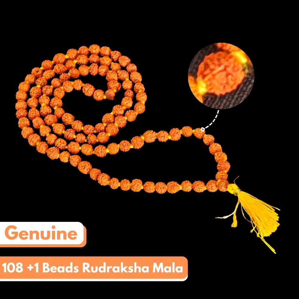 108+1 Beads Rudraksha Mala - Brown