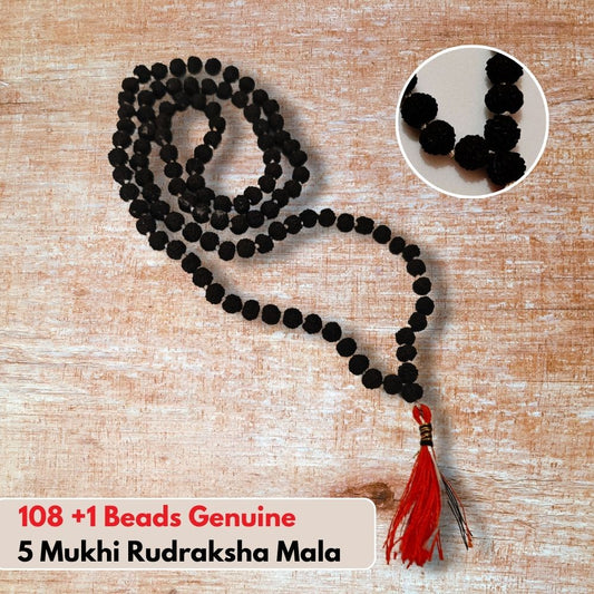 108+1 Beads Rudraksha Mala - Black